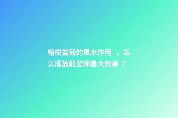 榕樹盆栽的風水作用，怎么擺放能發揮最大效果？